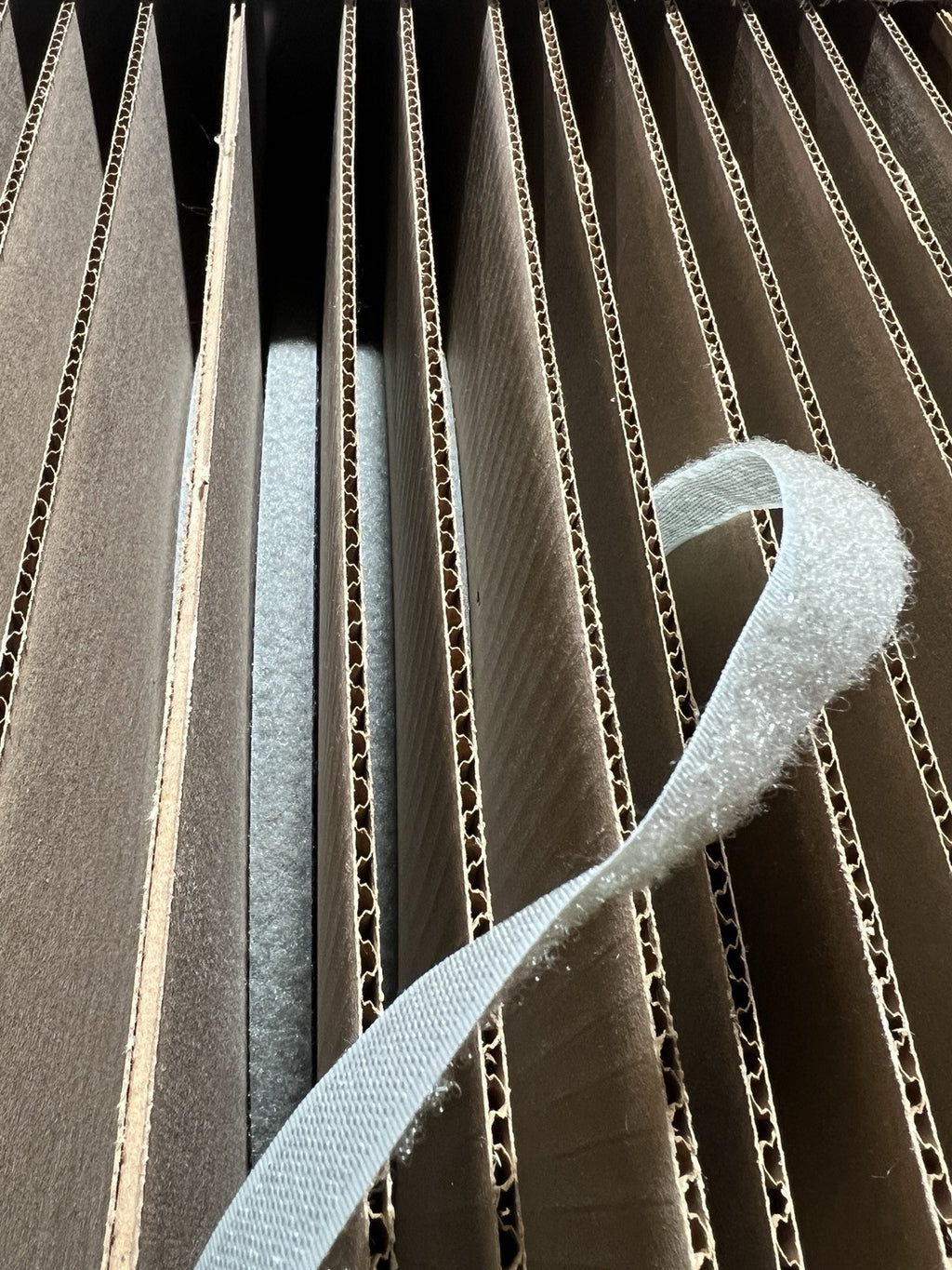 Velcro® Brand 1/2" Foliage Green LOOP SEW-ON TYPE - 50 YARDS